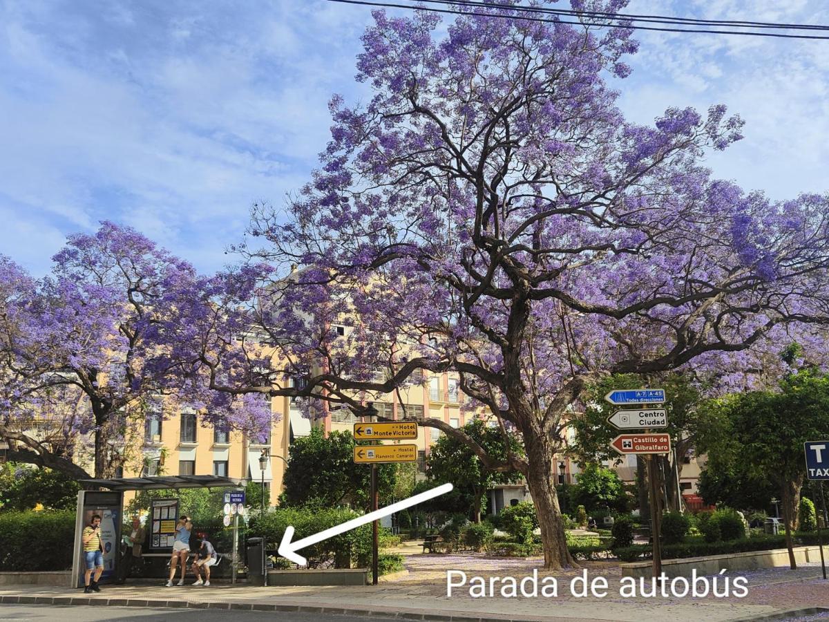 M&D Centro Malaga Διαμέρισμα Εξωτερικό φωτογραφία